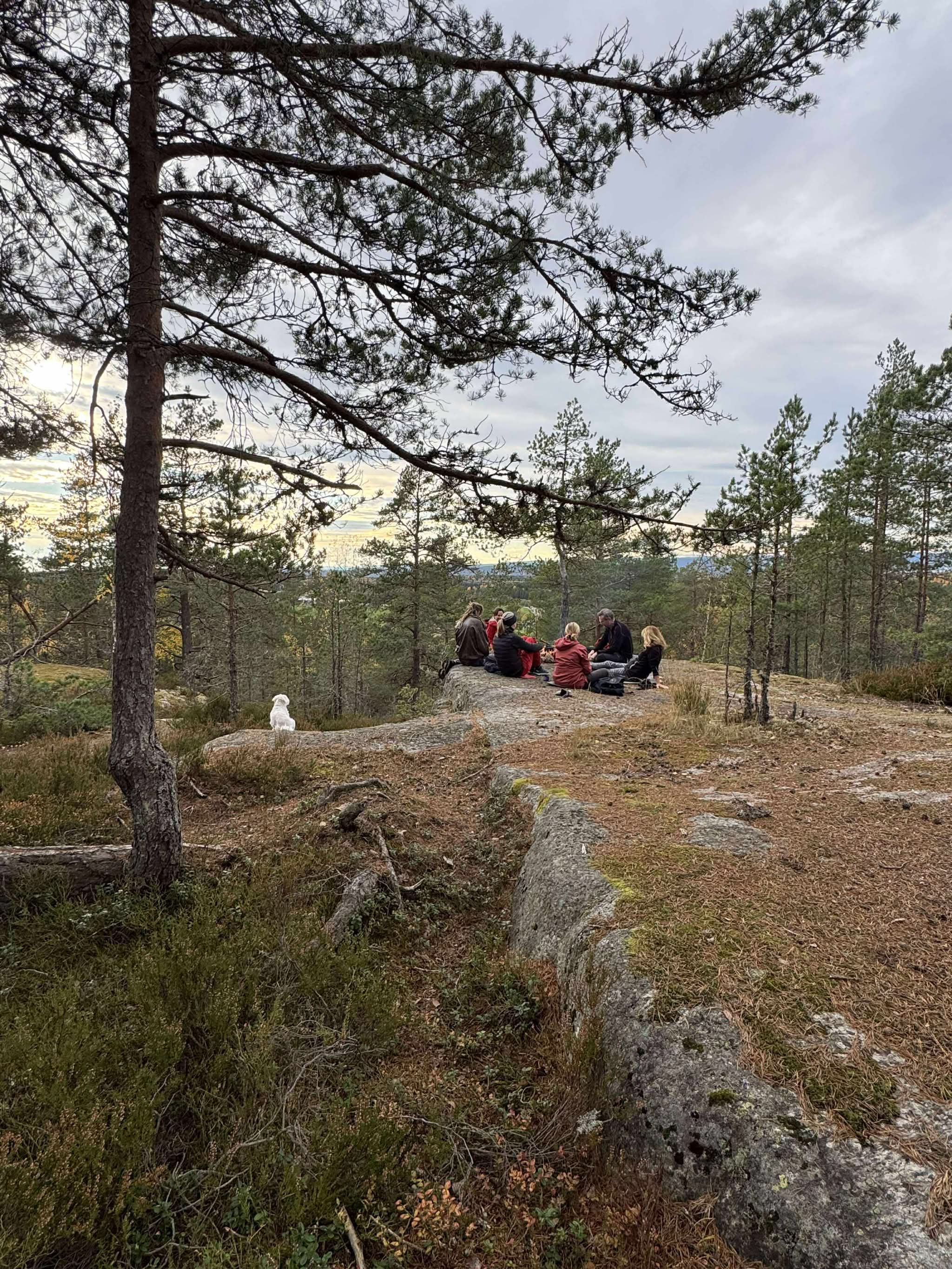 Mennesker under et tre i skogen